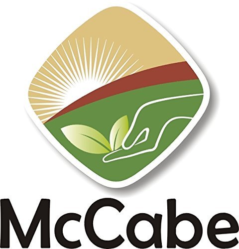McCabe Organic Barley Flour - Barley Flour for Cooking and Baking | Rich in Fiber | USDA and CCOF Certified | Product of USA | 2 lbs (32 Oz) Pack of 2