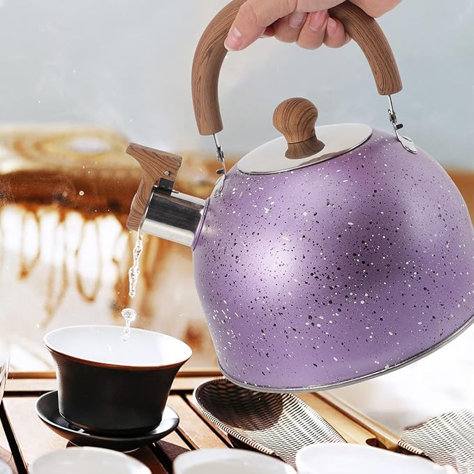 Hemoton Stainless Steel Water Kettle Food-grade Heating Pot for Boiling Water Compatible with Gas Stove Induction Cooker Convenient Handle Elegant Design