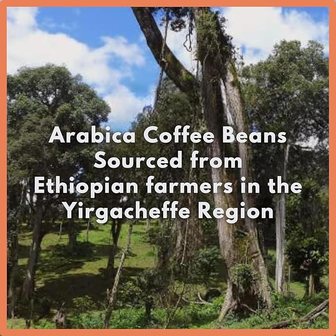 Café Grumpy Ethiopia Yirgacheffe Single Origin Whole Coffee Beans, 12 oz Bag Farm to Table Medium Roast, French Press Pour Over Cold Brew Drip