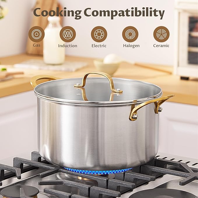BEZIA 8 Quart Tri-Ply Stainless Steel Stock Pot with Lid, Soup Pot with Stainless Steel Handle, Exceptional Heat Distribution, Induction Cooking Pot for All Stoves, Silver