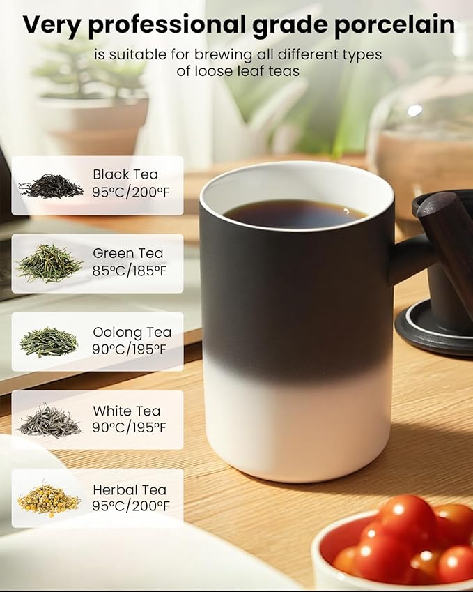 15 OZ Porcelain Tea Infuser Cup with Lid,Ceramic Tea Mug with Porcelain Strainer for Loose Leaf,Tea Strainers Cup with Wood Handle,BPA-Free,Gifts for Tea's Lover (Gradient Black)