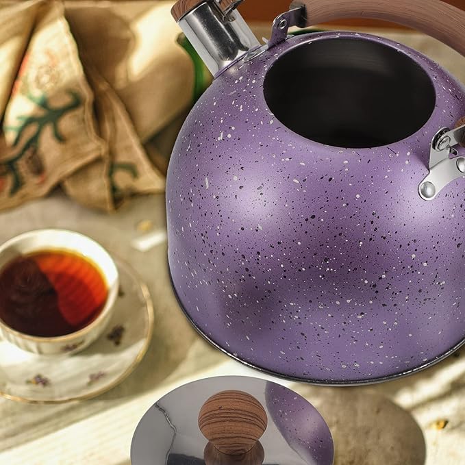 Hemoton Stainless Steel Water Kettle Food-grade Heating Pot for Boiling Water Compatible with Gas Stove Induction Cooker Convenient Handle Elegant Design