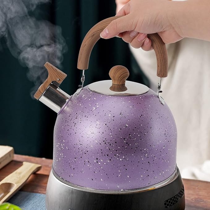 Hemoton Stainless Steel Water Kettle Food-grade Heating Pot for Boiling Water Compatible with Gas Stove Induction Cooker Convenient Handle Elegant Design