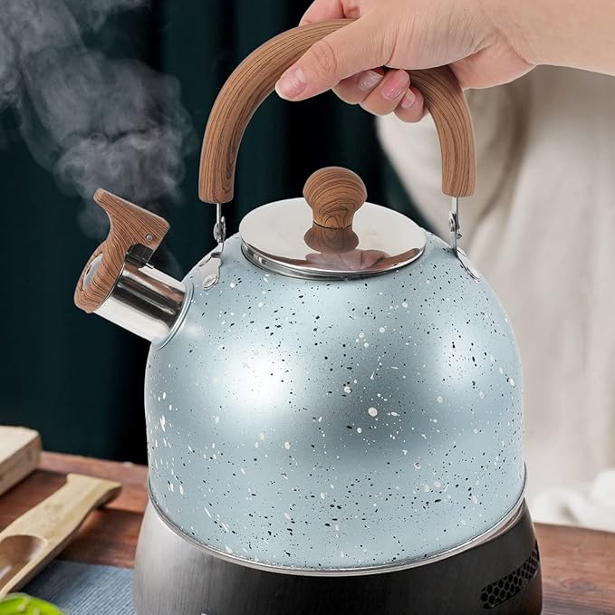 Hemoton Stovetop Tea Kettle Stainless Steel Whistling Teapot Water Kettle Stove Coffee Kettle with Ergonomic Handle for Boiling Water 2L Blue