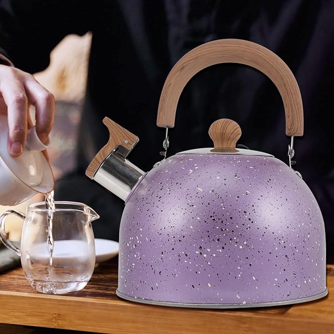 Hemoton Stainless Steel Water Kettle Food-grade Heating Pot for Boiling Water Compatible with Gas Stove Induction Cooker Convenient Handle Elegant Design