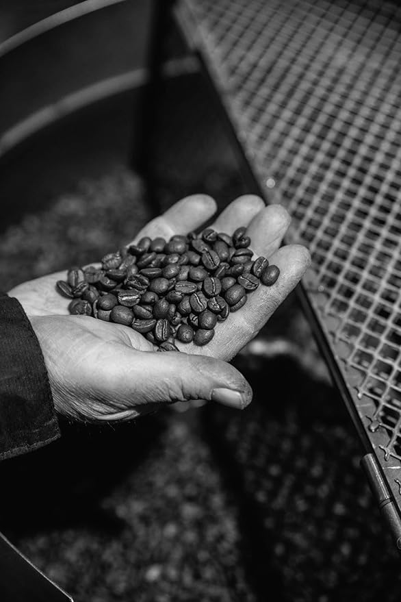 Bristot Moka Oro Ground Coffee | Italian Ground Espresso | Medium Roast | For Moka, French Press, Pour Over | 8.8oz/250g