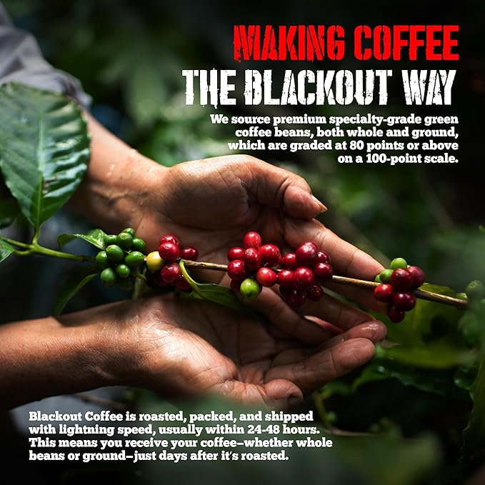 Blackout Coffee Cinnamon French Toast Flavored Ground Coffee – Medium Roast, Smooth Taste, Guilt-Free Indulgence – Freshly Roasted 12oz Pouch, American Made