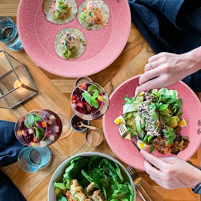 Frying Pan Nonstick, 9.5 Inch Pink Egg Pan, Non Stick Fry Pan 100% PTFE PFOA-Free Omelet Skillet Pan, Toxin-Free Skillets Stone Cookware, Anti-Warp Base with All Stove Tops, Induction Compatible