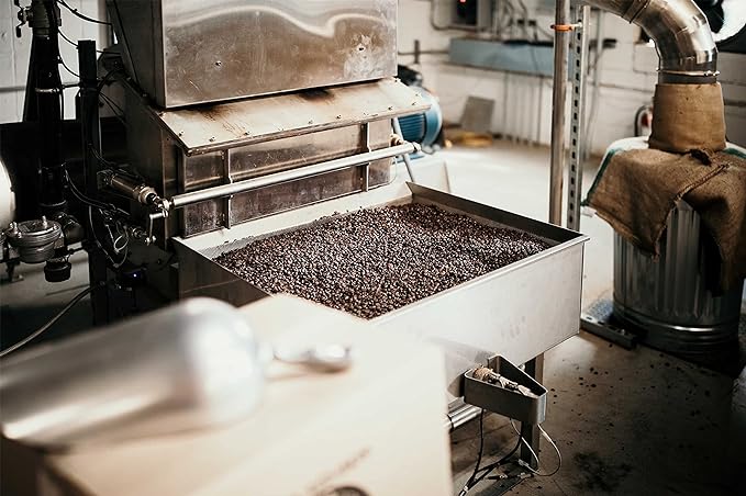 Nicaragua Coffee Beans (5 LBS), Medium Roast, Good As Gold Coffee Roasters