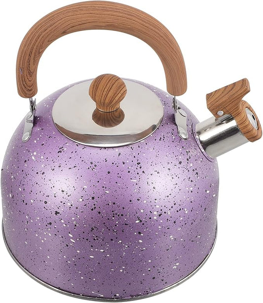 Hemoton Stainless Steel Water Kettle Food-grade Heating Pot for Boiling Water Compatible with Gas Stove Induction Cooker Convenient Handle Elegant Design