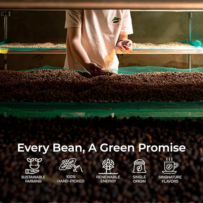 Conihat Whole Bean Coffee - Vietnamese Premium Arabica & Robusta Blend, Dark Roast, Dark Chocolate & Roasted Nut Notes, Bold & Long Aftertaste, Low Acid, Single Origin, Hand-Picked, 8.8 Oz Bag