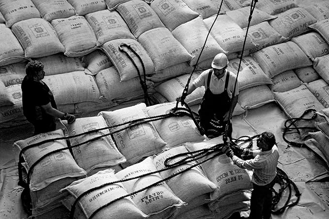 Bristot 100% Arabica Ground Coffee | Italian Espresso Ground Coffee | Medium Roast | 32 Bags
